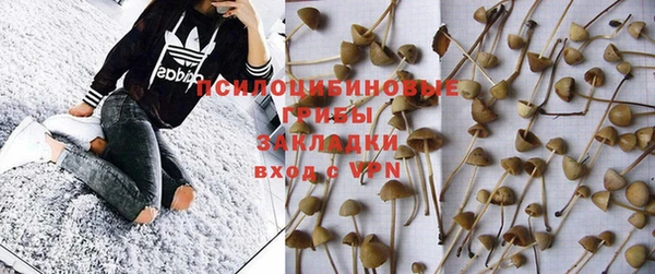 мдпв Волосово